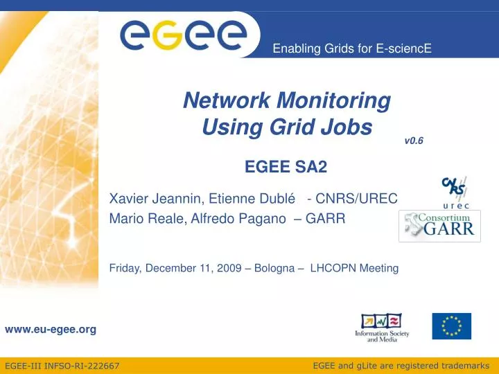 network monitoring using grid jobs egee sa2