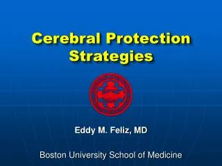 Cerebral Protection Strategies