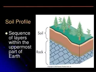 soil profile