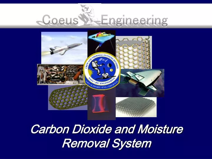 carbon dioxide and moisture removal system