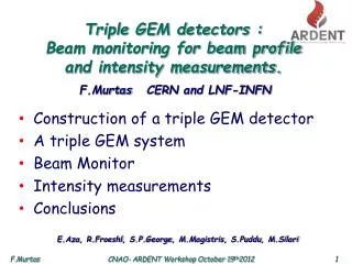 Triple GEM detectors : Beam monitoring for beam profile and intensity measurements.