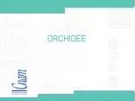 ORCHIDEE - slide 1