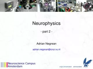 Neurophysics