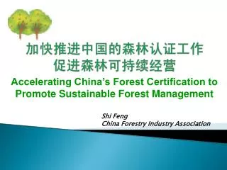 Shi Feng China Forestry Industry Association