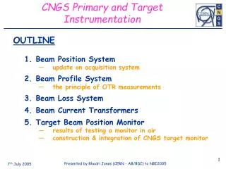 CNGS Primary and Target Instrumentation