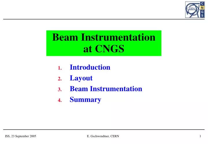 beam instrumentation at cngs