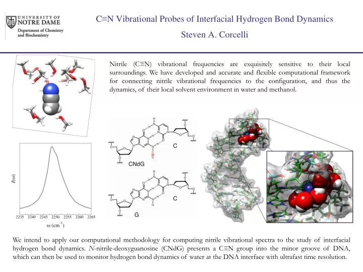 c n vibrational probes of interfacial hydrogen bond dynamics steven a corcelli