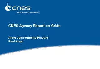 CNES Agency Report on Grids