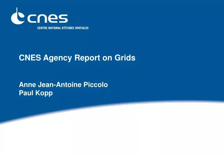 cnes agency report on grids