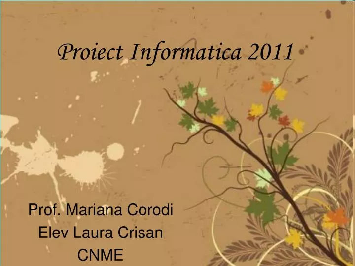 proiect informatica 2011
