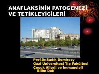 anaflaks n n patogenez ve tet kley c ler