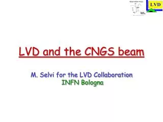 LVD and the CNGS beam M. Selvi for the LVD Collaboration INFN Bologna