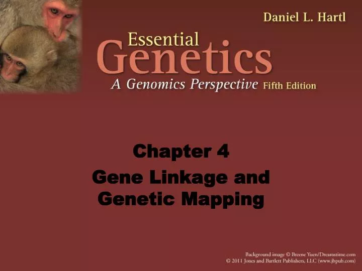 chapter 4 gene linkage and genetic mapping
