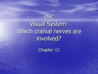 09c Visual System: Which cranial nerves are involved? Chapter 12