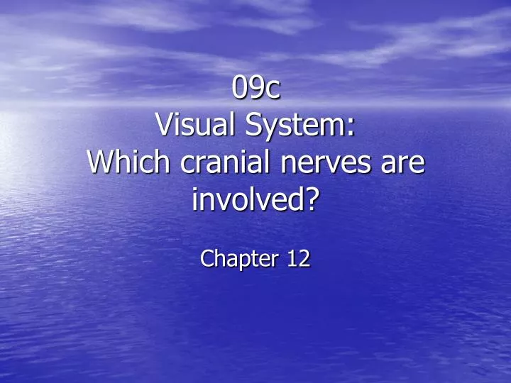 09c visual system which cranial nerves are involved chapter 12