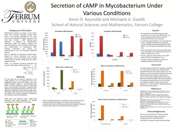 secretion of camp in mycobacterium under various conditions