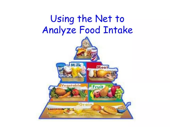 using the net to analyze food intake