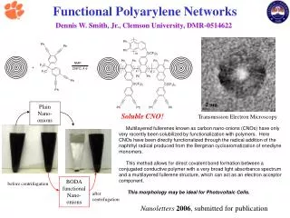 Functional Polyarylene Networks