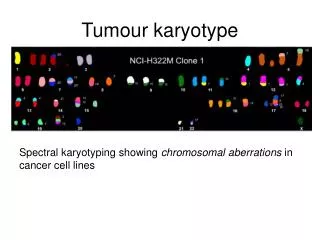 Tumour karyotype