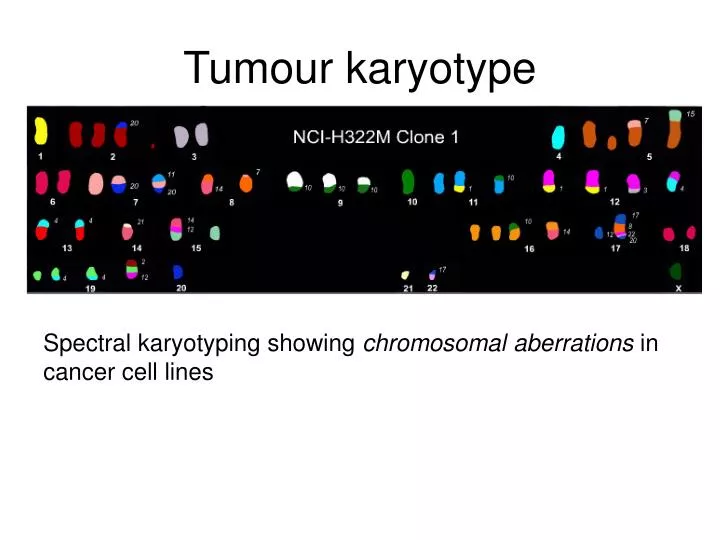 tumour karyotype