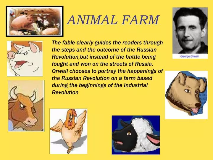 animal farm