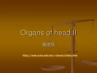 Organs of head II