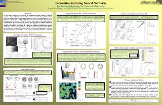 Percolation in Living Neural Networks Ilan Breskin, Jordi Soriano , Tsvi Tlusty, and Elisha Moses