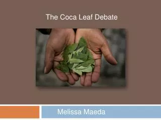The Coca Leaf Debate