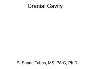 Cranial Cavity