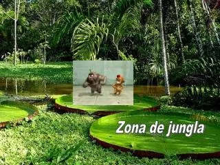 Zona de jungla