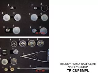 TRILOGY FAMILY SAMPLE KIT *PERRYSBURG* TRICUPSMPL