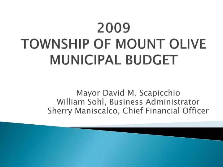 2009 township of mount olive municipal budget