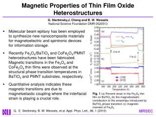 Magnetic Properties of Thin Film Oxide Heterostructures