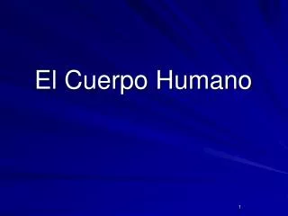 el cuerpo humano