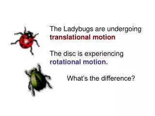 Translational Motion movement of the centre of mass