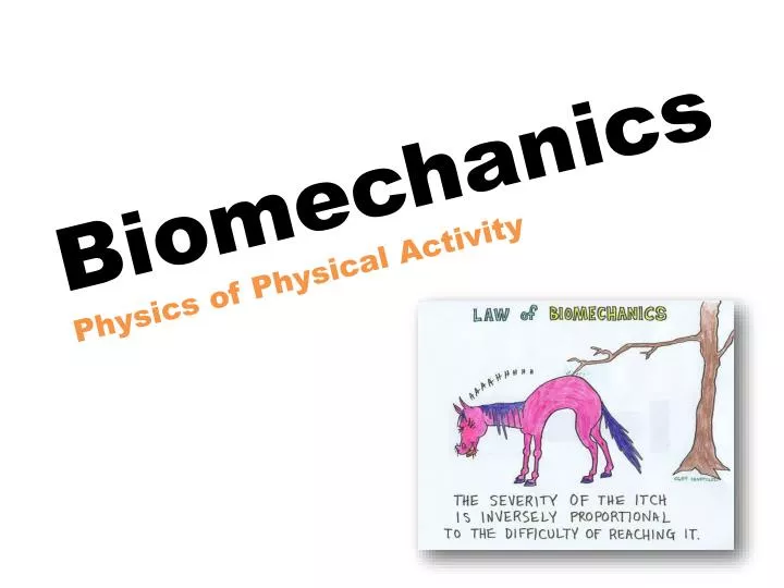 biomechanics physics of physical activity