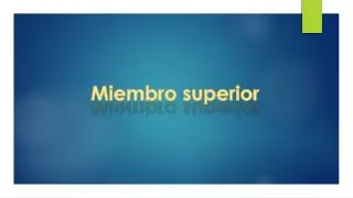 miembro superior