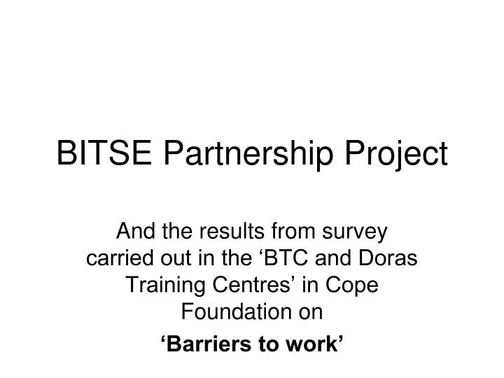 bitse partnership project