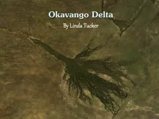 Okavango Delta