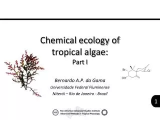 Chemical ecology of tropical algae: Part I