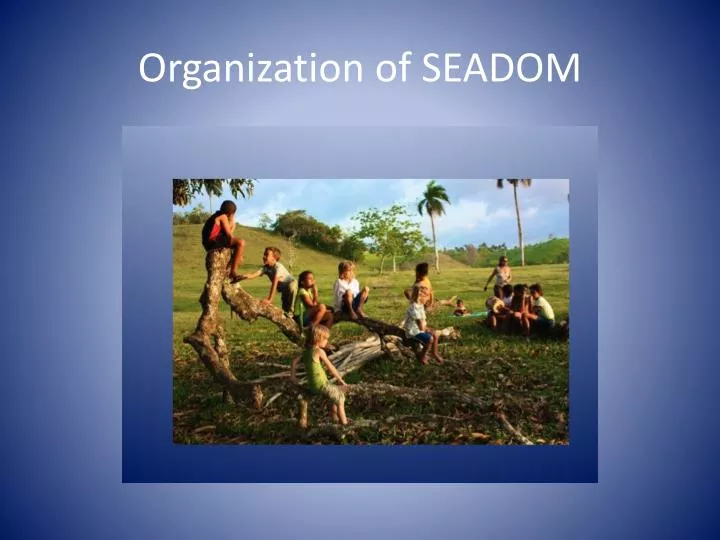 organization of seadom