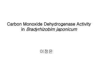 Carbon Monoxide Dehydrogenase Activity in Bradyrhizobim japonicum