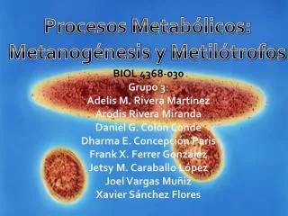 Procesos MetabÃ³licos : MetanogÃ©nesis y MetilÃ³trofos