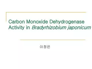 Carbon Monoxide Dehydrogenase Activity in Bradyrhizobium japonicum