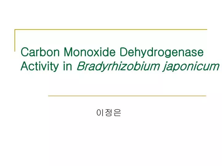 carbon monoxide dehydrogenase activity in bradyrhizobium japonicum