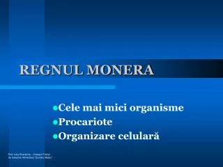 regnul monera
