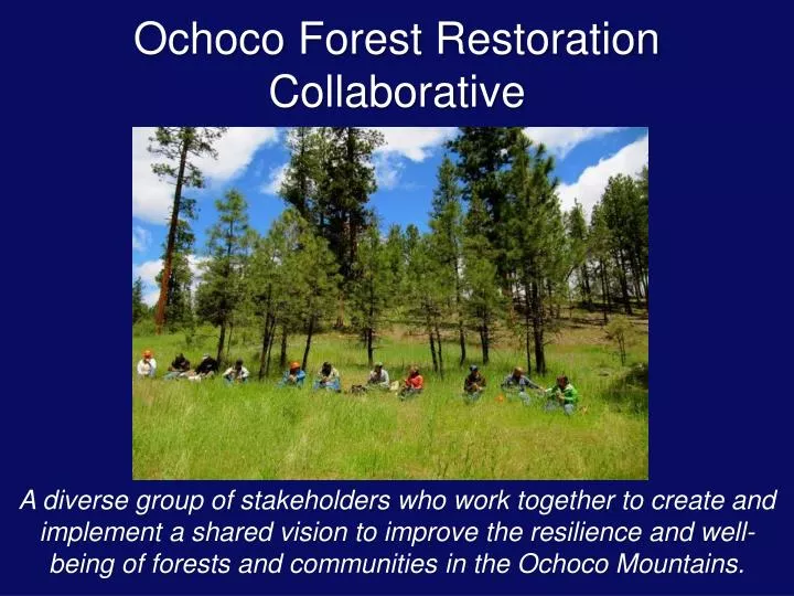 ochoco forest restoration collaborative