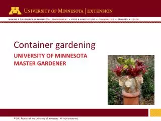 Container gardening