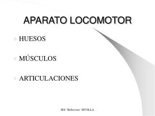 aparato locomotor