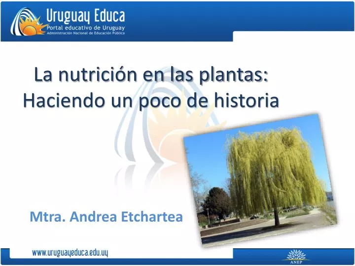 la nutrici n en las plantas haciendo un poco de historia